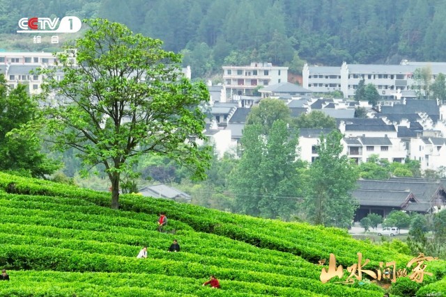 《山水間的家》：千年家風(fēng)助鄉(xiāng)村振興，“老家真好”悟濃濃鄉(xiāng)愁(圖3)