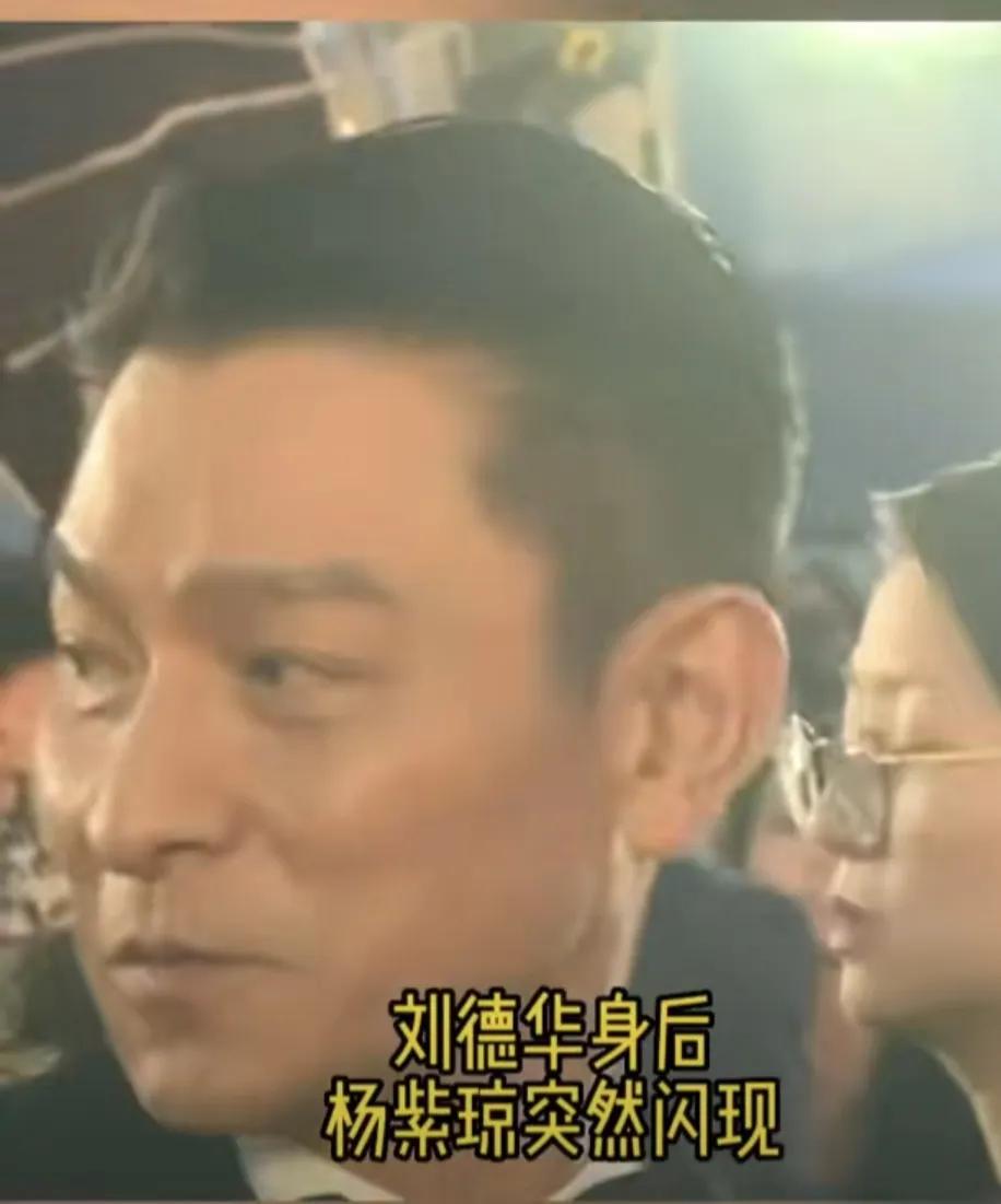 楊紫瓊突然勾肩劉德華，將對方嚇一跳，華哥透露驚喜消息(圖6)