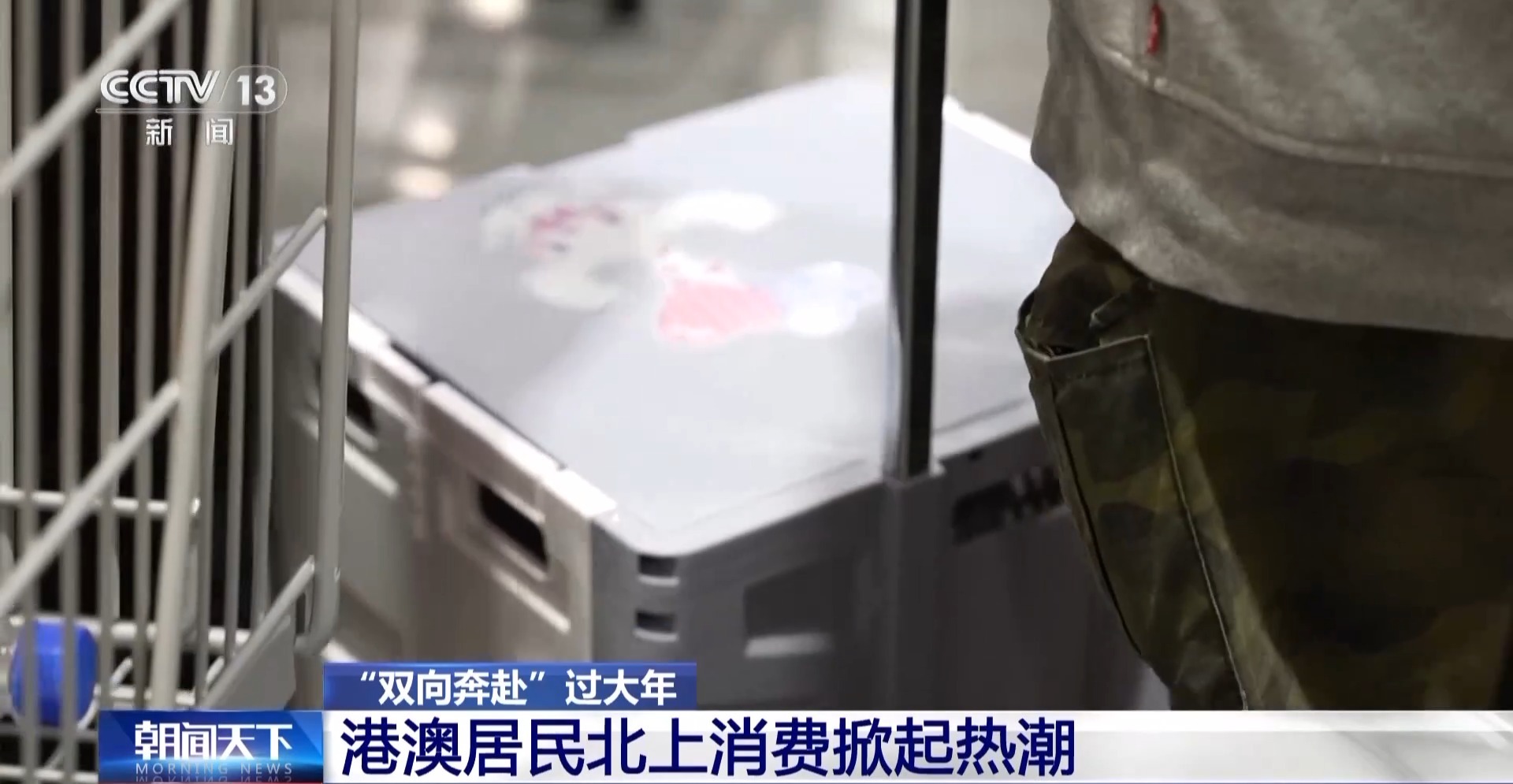 港澳居民北上購年貨 跟記者走進大灣區“一小時生活圈”(圖2)