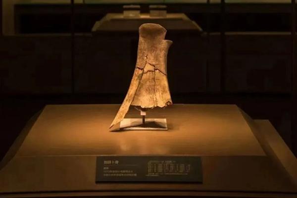 2024年殷墟博物館新館什么時候開館？附預(yù)約參觀和優(yōu)惠購票攻略