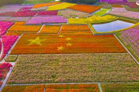 三臺(tái)山森林公園門(mén)票優(yōu)惠政策2024