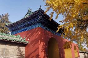 天壇公園門票免費(fèi)條件2024