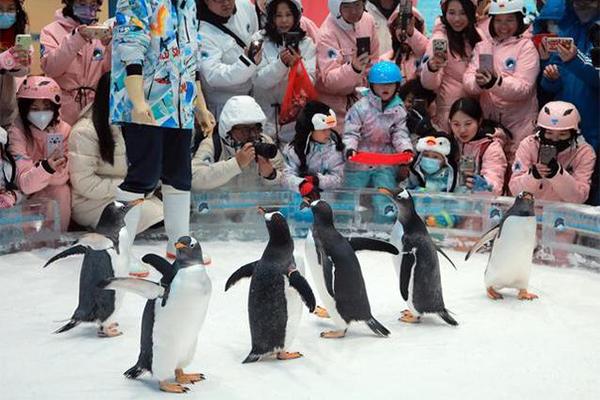 2024正佳企鵝冰雪世界門(mén)票優(yōu)惠政策