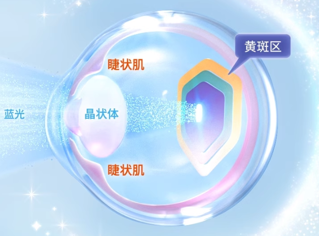 
			首創(chuàng)兒童立體護眼，inne藍光盾葉黃素全面防藍光保護視力領(lǐng)先一步
		(圖1)