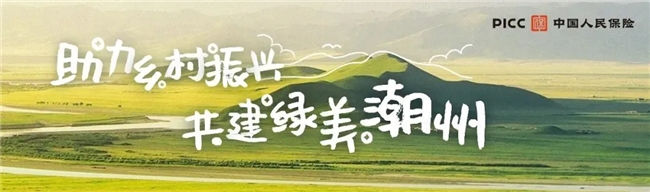 
			八千跑友共赴嶺東首邑！人民保險?2024潮州半程馬拉松賽精彩落幕
		(圖1)