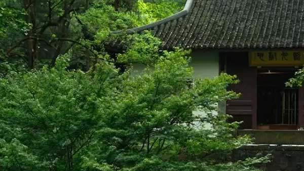 玉玲瓏：新綠(圖1)