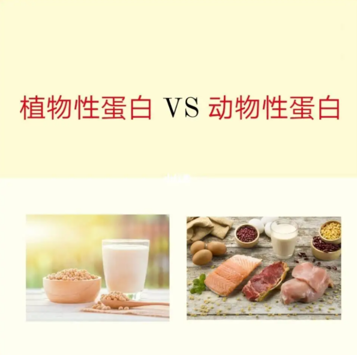 幫助補充蛋白質，湯臣倍健雙蛋白粉守護健康(圖2)